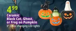 Ocean State Job Lot Ceramic Black Cat, Ghost, or Frog on Pumpkin offer