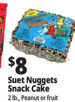 Ocean State Job Lot Bird Feeder's Choice Nutty Treat Suet Value Pack 8 Count offer