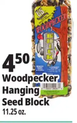 Ocean State Job Lot C&S Woodpecker Brick 11.25 oz offer