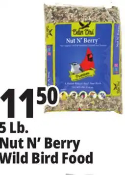 Ocean State Job Lot Better Bird Premium Nut N' Berry Bird Food 5 lbs offer