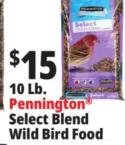 Ocean State Job Lot Pennington Premium Select Blend Bird Seed 10 lb offer