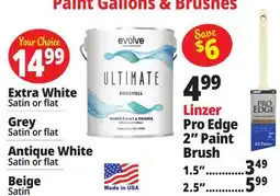 Ocean State Job Lot Paint Gallons & Brushes offer