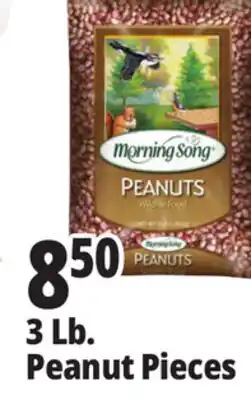 Ocean State Job Lot Morning Song Wildlife Food Peanuts 3 lbs offer