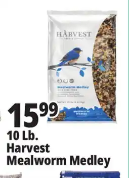 Ocean State Job Lot Harvest Seed & Supply Mealworm Medley Wild Bird Food 10 lb offer