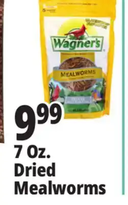 Ocean State Job Lot Wagner's Bird Meal Worms 7oz offer