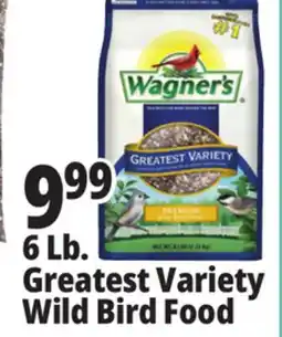 Ocean State Job Lot Wagner's Greatest Variety Deluxe Wild Bird Food 6 lbs offer