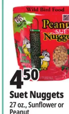 Ocean State Job Lot C&S Peanut Suet Nuggets Wild Bird Food 27 oz offer