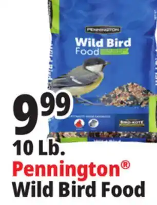 Ocean State Job Lot 10 Lb. Pennington Wild Bird Food offer