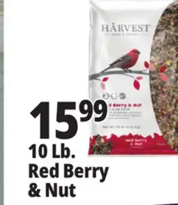 Ocean State Job Lot Harvest Seed & Supply Red Berry & Nut Wild Bird Food 10 lb offer