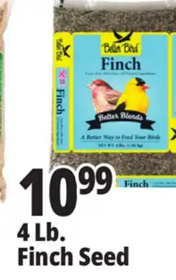 Ocean State Job Lot Better Bird Finch Bird Food 4 lbs offer