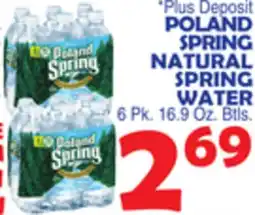 Bravo Supermarkets POLAND SPRING NATURAL SPRING WATER offer