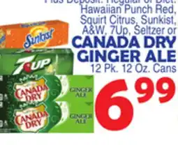 Bravo Supermarkets CANADA DRY GINGER ALE offer