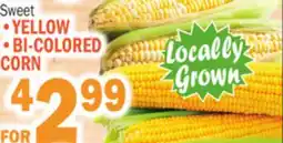 Bravo Supermarkets YELLOW, BI-COLORED CORN offer