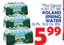 Bravo Supermarkets POLAND SPRING WATER offer