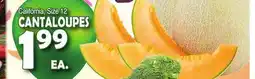 Bravo Supermarkets CANTALOUPES offer