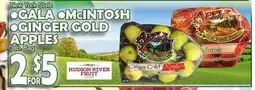 Bravo Supermarkets GALA, McINTOSH, GINGER GOLD APPLES offer