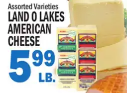Bravo Supermarkets LAND O LAKES AMERICAN CHEESE offer