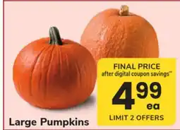 ACME Large Pumpkins offer
