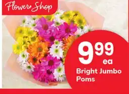 ACME Bright Jumbo Poms offer