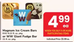 ACME Magnum Ice Cream Bars 8.62-9.12 fl. oz. pkg. or WW Giant Fudge Bar 21 fl. oz. pkg offer