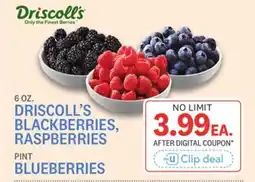 Kings Food Markets DRISCOLL'S BLACKBERRIES, RASPBERRIES 6 OZ., BLUEBERRIES PINT offer