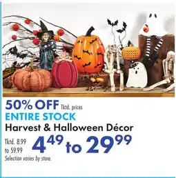 Boscov's ENTIRE STOCK Harvest & Halloween Décor offer