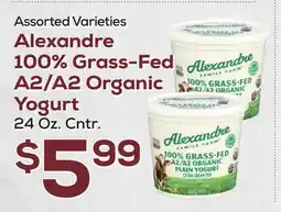 DeCicco & Sons Alexandre 100% Grass-Fed A2/A2 Organic Yogurt offer