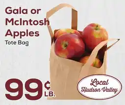 DeCicco & Sons Gala or McIntosh Apples offer