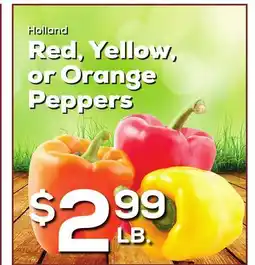 DeCicco & Sons Holland Red, Yellow, or Orange Peppers offer
