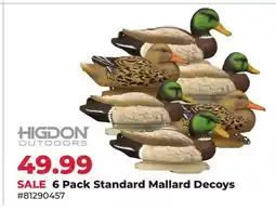 Runnings Higdon 6 Pack Standard Mallard Decoys offer