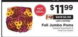 ShopRite Fall Jumbo Poms offer