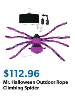 Sam's Club Mr. Halloween Outdoor Rope Climbing Spider offer