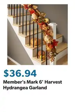 Sam's Club Member's Mark 6' Harvest Hydrangea Garland offer