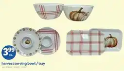 Lidl Harvest serving bowl tray offer