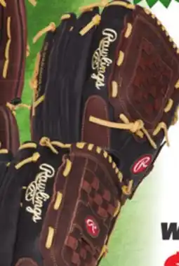 Big 5 Rawlings Renegade Series 14 Softball Glove offer