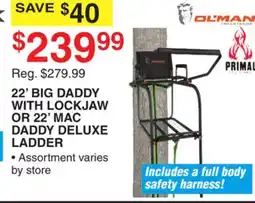 Dunham's Sports 22' BIG DADDY WITH LOCKJAW OR 22' MAC DADDY DELUXE LADDER offer