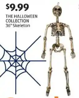 Aldi The halloween collection skeleton offer