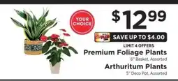 ShopRite Premium Foliage Plants or Arthuritum Plants offer