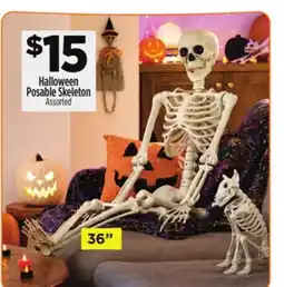 Dollar General Halloween Posable Skeleton offer
