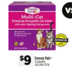 Dollar General Forever Pals Scoopable Cat Litter offer