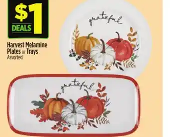 Dollar General Harvest Melamine Plates or Trays offer