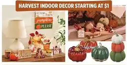 Dollar General HARVEST INDOOR DECOR offer