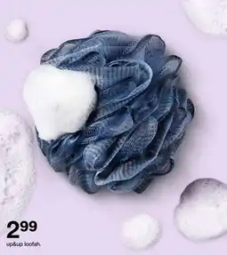 Target up&up loofah offer