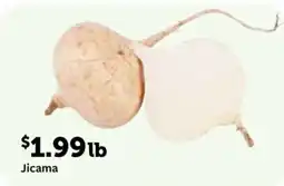 Fareway Jicama offer