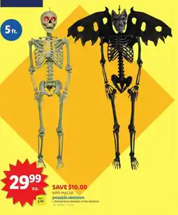Lidl posable skeleton offer