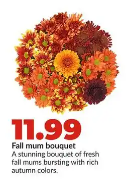 Hy-Vee Fall mum bouquet offer