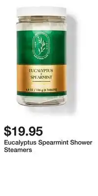 Bath & Body Works Eucalyptus Spearmint Shower Steamers offer