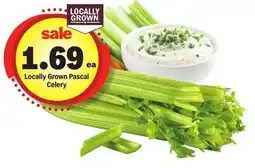Meijer Locally Grown Pascal Celery offer