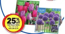 Meijer Fall Flower Bulbs offer