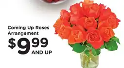 Ralphs Coming Up Roses Arrangement offer